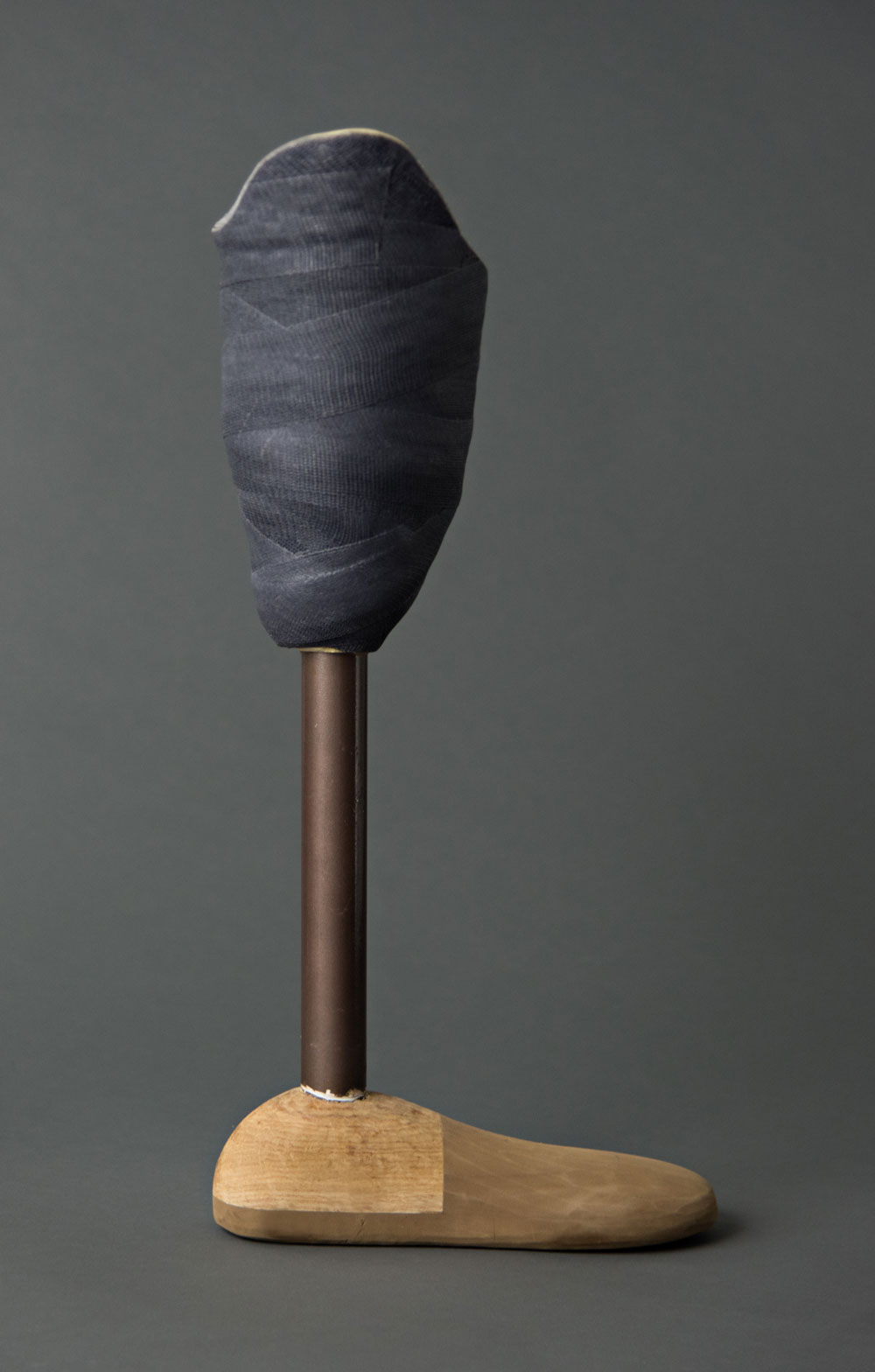 image of an prosthetic leg